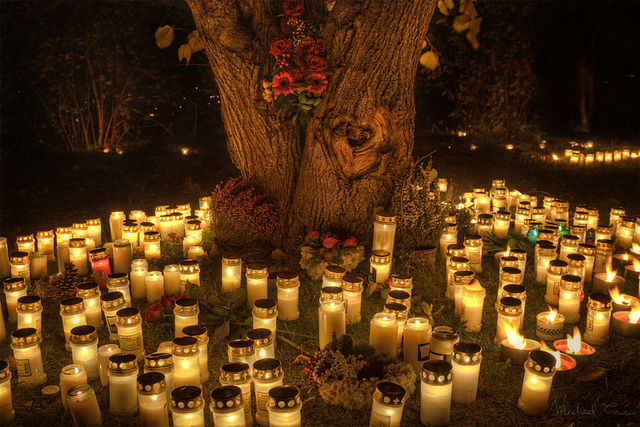 Halloween lights Halloween lights