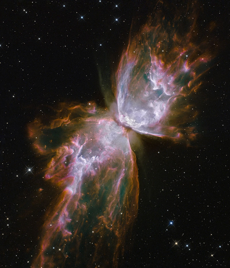 butterfly nebula