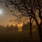 Why Do Most Paranormal Sightings Happen At Night